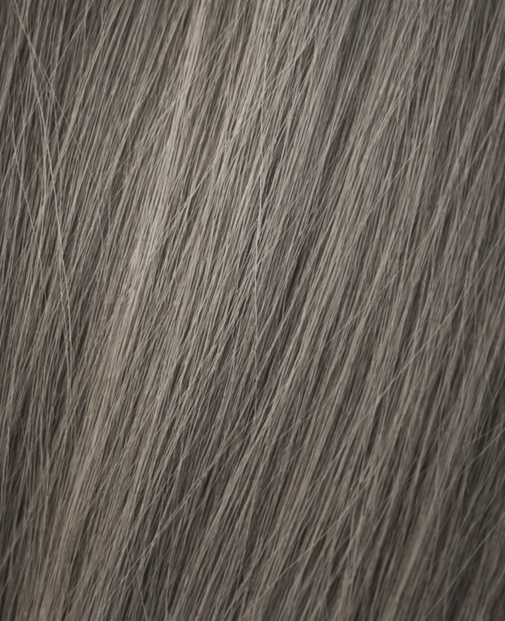Phantom Genius Wefts shade swatch - platinum blonde